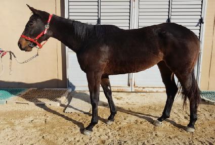 �Ƶ��۽�Ʈ ����