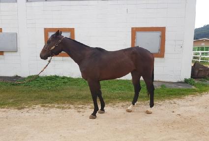 ����� ����