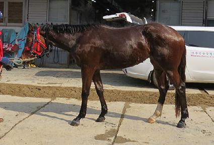 ��Ʈ���� ����