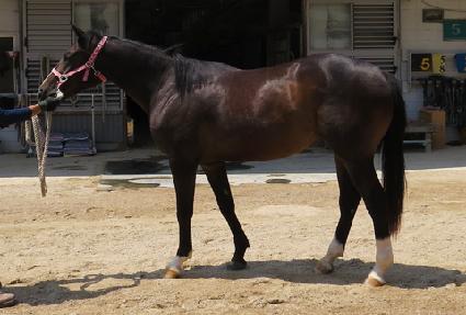 ��ī�̼��� ����