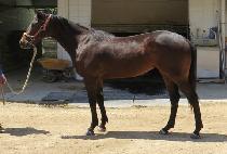 �������� (SUNNY K) ����