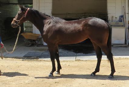 �������� ����