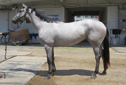 ���� ����