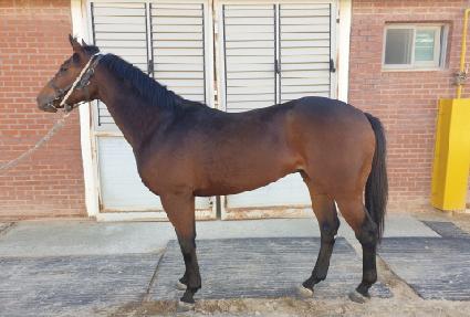 ��� ����