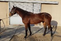 �°��� (ONGOING) ����