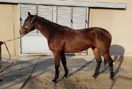 �°��� ����