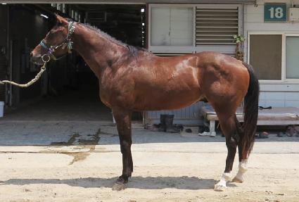 ���ŷ ����