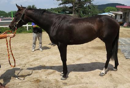 ���ø�Ʈ���� ����