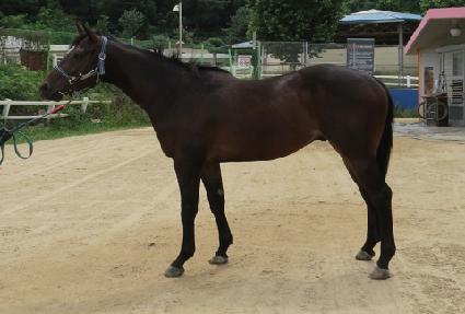 �̽�Ʈ��Ʈ ����