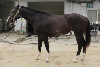 �ƽ�Ʈ�� ����