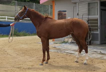 �����¡�� ����