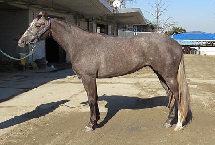 ���̿��Ŀ� ����