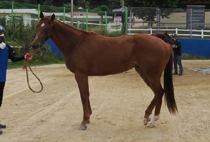 �Ҽ��뷹���� ����