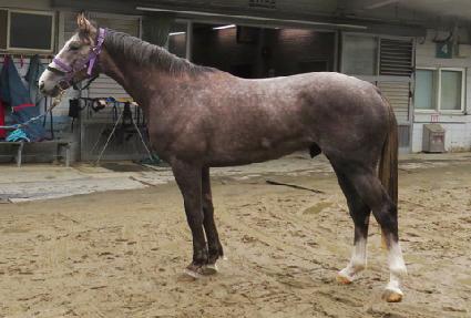 ���̿��ε� ����