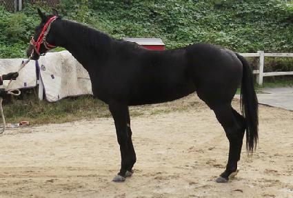 �Ϸ�� ����