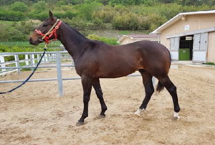 ����Ʈ���� ����