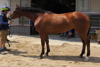 �Ѽ������� ����