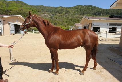 �̽������� ����