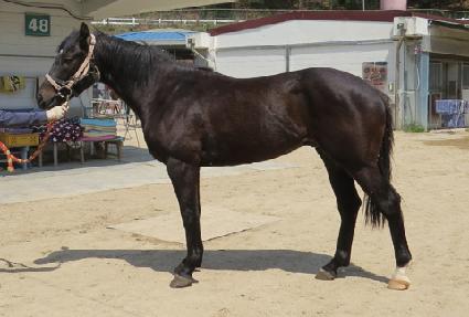 ť�ǵ��ڸ��� ����