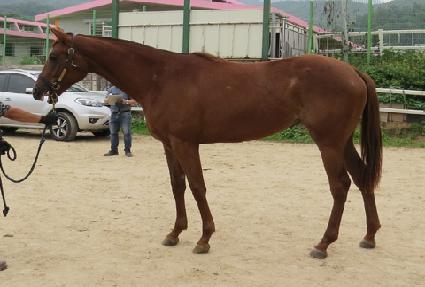 ŷ�������̵� ����