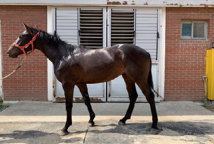 �ٺ���� ����