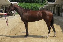 õ�ⱹ�� (CHEONHYANGGUKSAEK) ����