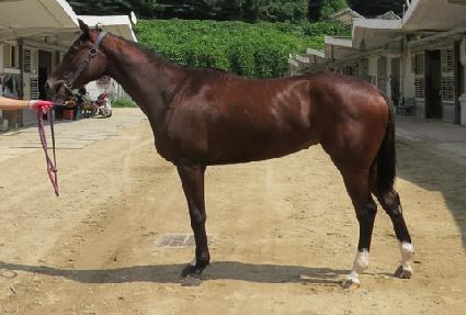 õ�ⱹ�� ����