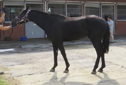 �ʿ����� ����