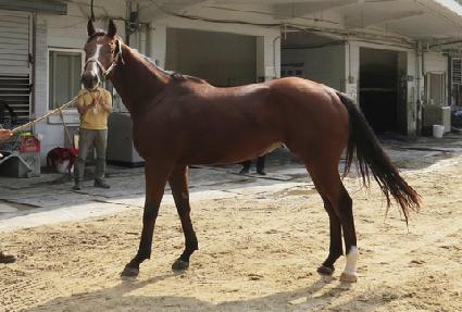 �ʿ��Ǳ��� ����