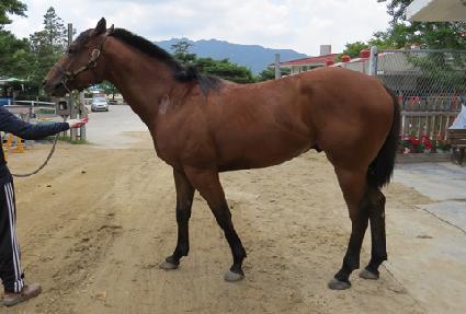 �츮Ƽ�� ����