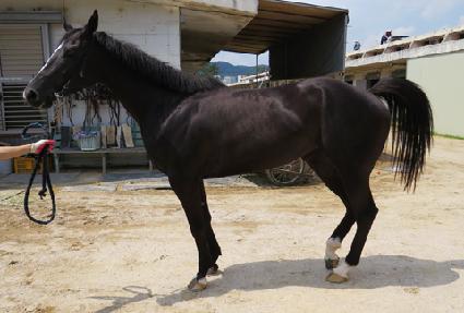 �ְ�ķ�� ����