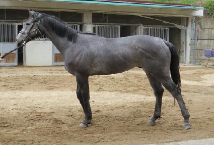 �ʰ�Ÿ�� ����