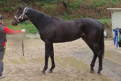 �ŵ��� ����