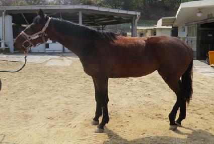 �������� ����