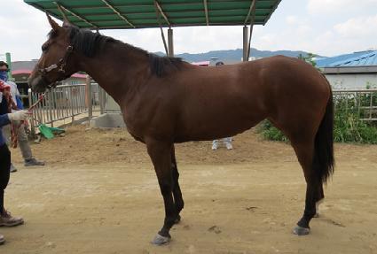 �������� ����