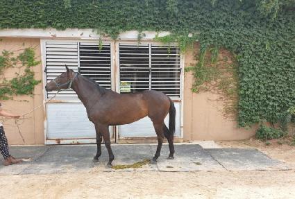 ������� ����