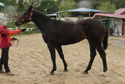 ��ȣ���� ����