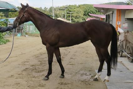 ���ø�Ʈ���� ����