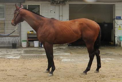 �϶��� ����