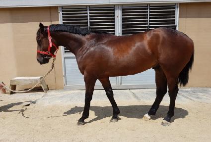 �Ƶ����� ����