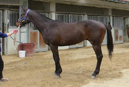 ��º���Ʈ�� ����