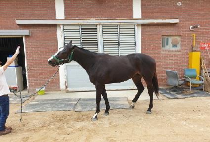 ��½�ī�̸� ����