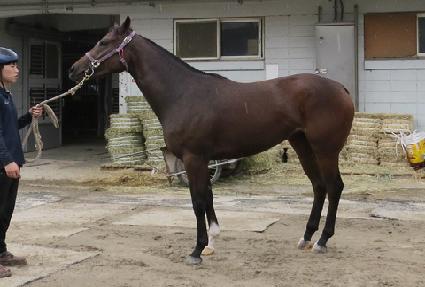 ������ ����