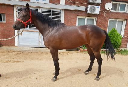 ������� ����