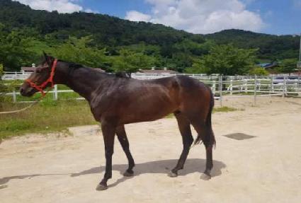 ����¸� ����