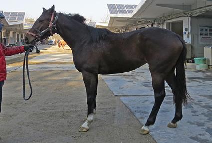 ������ ����