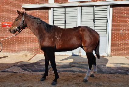 ���̽����� ����