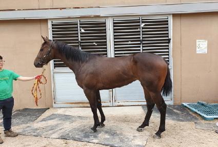 ���ĸ�� ����