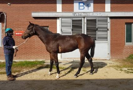 ������ũ ����