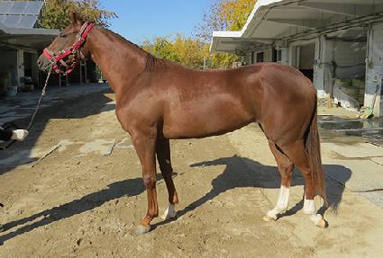 ���̵�Ű ����